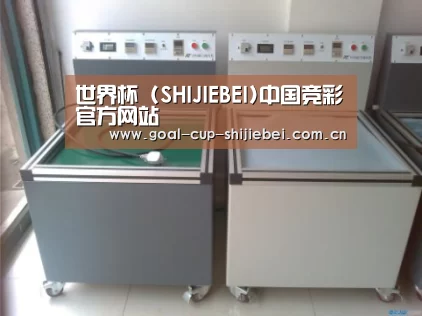 世界杯下注案例展示二(图1)