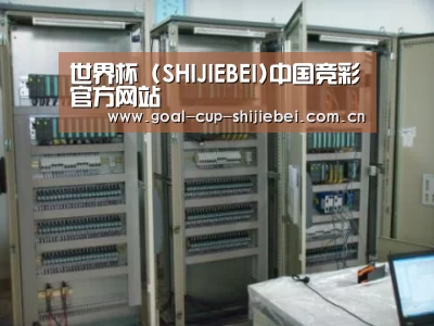 世界杯下注案例展示五