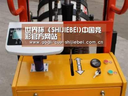 世界杯下注案例展示三(图1)