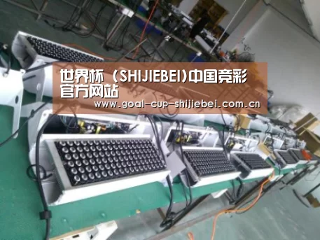 世界杯下注案例展示一(图1)