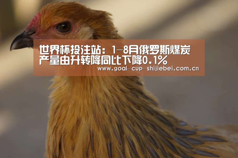 世界杯投注站:1-8月俄罗斯煤炭产量由升转降同比下降0.1%(图3) 世界杯投注站