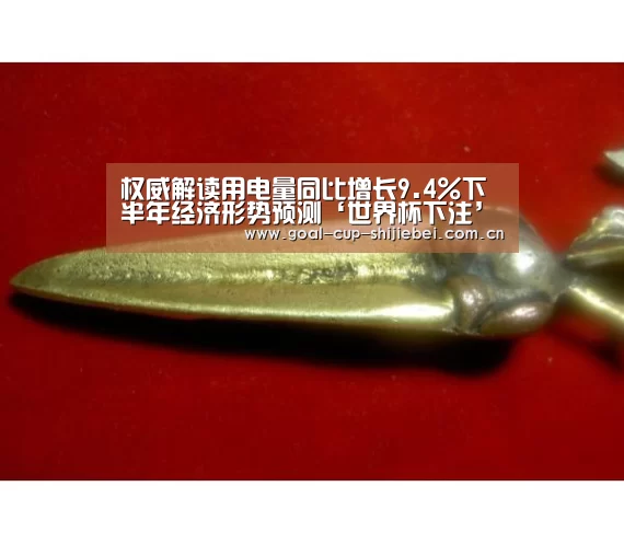权威解读用电量同比增长9.4%下半年经济形势预测‘世界杯下注’(图3) 世界杯竞猜平台
