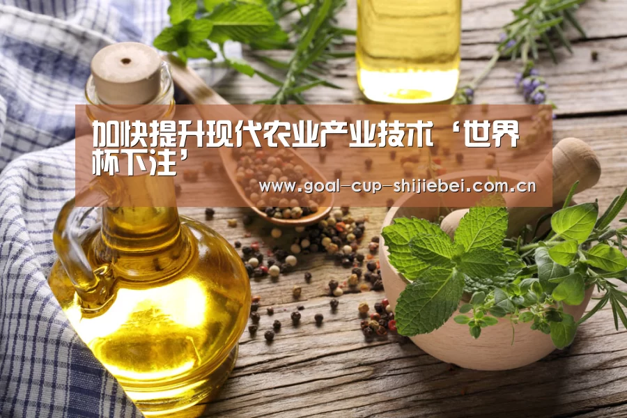 世界杯下注