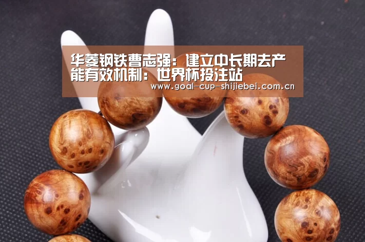 华菱钢铁曹志强:建立中长期去产能有效机制:世界杯投注站(图1) 世界杯竞猜平台